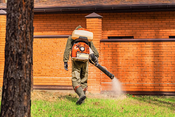Bed Bug Clearance Verification and Documentation in Hickory Creek